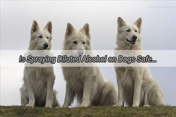 Is Spraying Diluted Alcohol on Dogs Safe Unveiling the Truth Behind This Controversial Practice